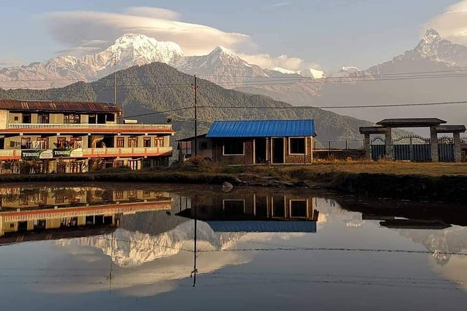 1-Day Private Dhampus Trekking Tour - The climb from Phedi to Dhampus