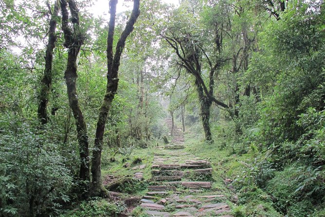1-Day Private Dhampus Trekking Tour - Is $67 good value?