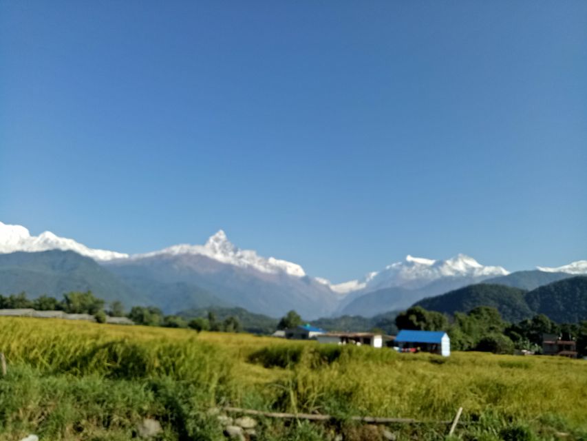 1 N 2 Days easy Dhampus,Australian camp trek from Pokhara - The overnight lodge and what the price covers
