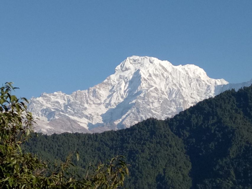 1 N 2 Days easy Dhampus,Australian camp trek from Pokhara - Should you book the Dhampus and Australian Camp trek?