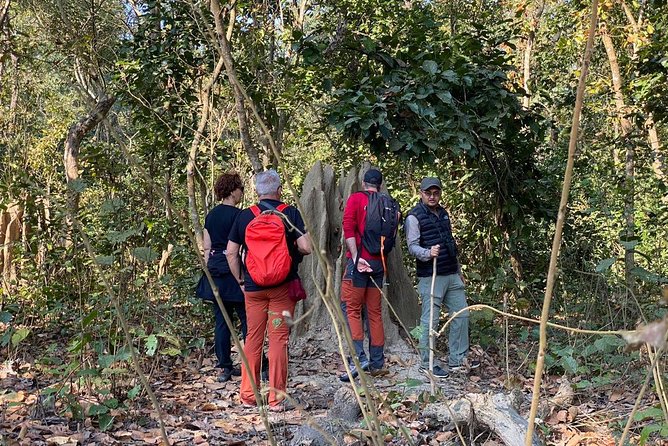 1 Night 2 Days Chitwan Jungle Safari Tour from Kathmandu - Tharu village, elephant stable, and sunset views