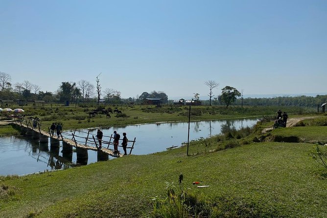 1 Night 2 Days Chitwan Jungle Safari Tour from Kathmandu - The return to Kathmandu