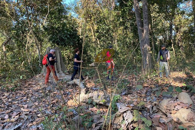 1 Night 2 Days Chitwan Jungle Safari Tour from Kathmandu - Who should book this short Chitwan trip
