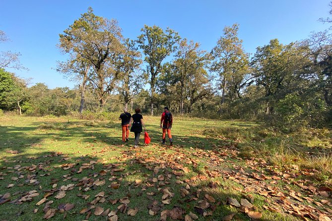 1 Night 2 Days Chitwan Jungle Safari Tour from Pokhara or Kathmandu - A quick route from Kathmandu or Pokhara to Chitwan