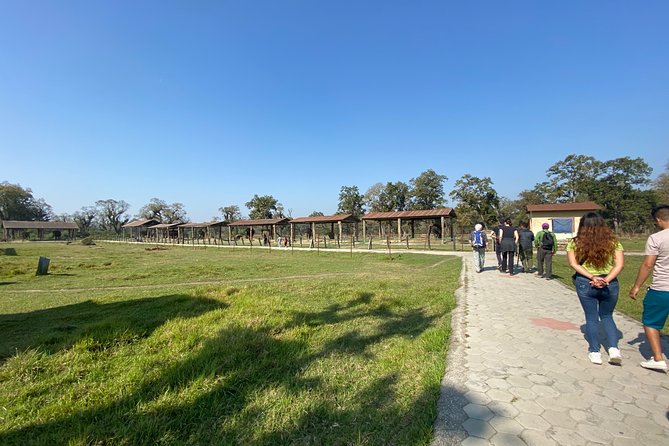 1 Night 2 Days Chitwan Jungle Safari Tour from Pokhara or Kathmandu - The early bird-watching outing on Day 2
