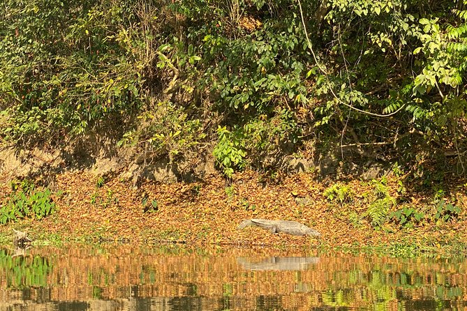 1 Night 2 Days Chitwan Jungle Safari Tour from Pokhara or Kathmandu - What the $140.80 price covers