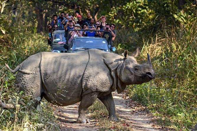 10 days Special Nepal Tour Package - The return to Kathmandu includes a farewell meal