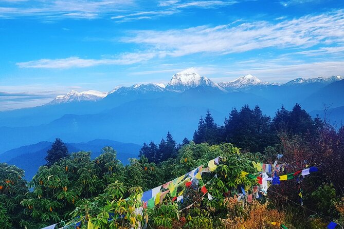 11-Day Hike Tour to Annapurna Base Camp Bliss in Kathmandu - Days 3 and 4: Ulleri steps, Ghorepani, and Poon Hill sunrise