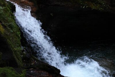 12-Day Nepal Adventure Trek with Jungle Safari