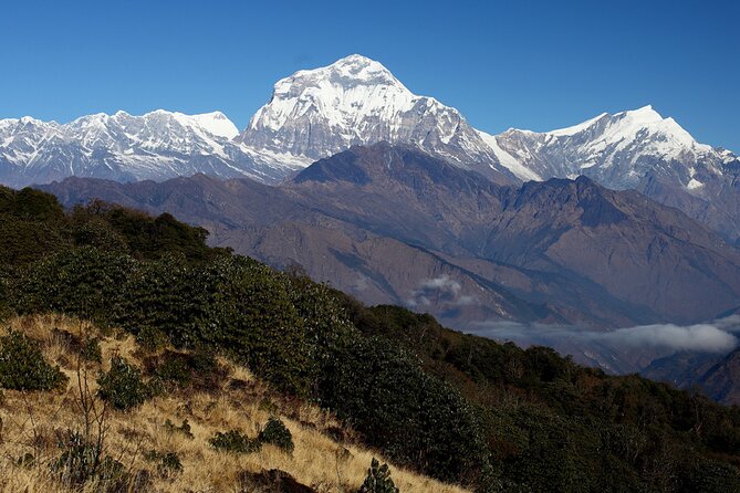 12-Day Nepal Adventure Trek with Jungle Safari - Day 4: Nayapul to Tikhedhunga
