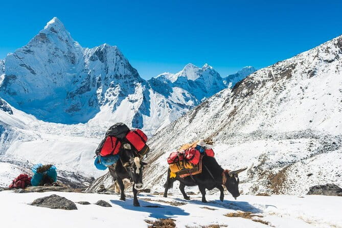 12 Days Everest Base Camp Trek from Kathmandu - Day 7: Dingboche to Lobuche and a harsher setting