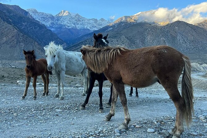 12 Days Overland Tour to Upper Mustang - Days 1 and 2: Kathmandu welcome and valley monuments