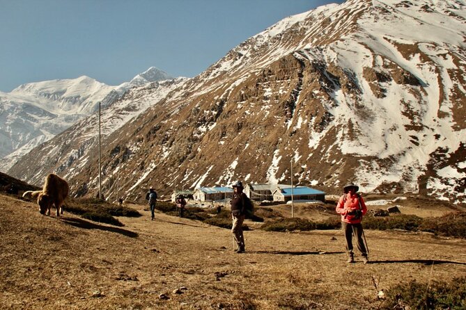 14 Days Annapurna Circuit Trek - Yak Kharka and Thorong Phedi