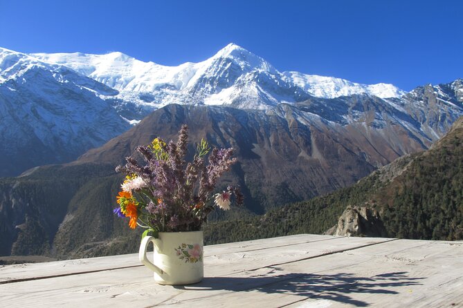 15-Day Private Annapurna Circuit Trek from Kathmandu - Day 10: The Thorong La crossing
