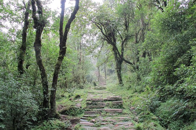 2-Day Private Trekking Tour to Australian Camp & Dhampus - Guides, safety, and the private format