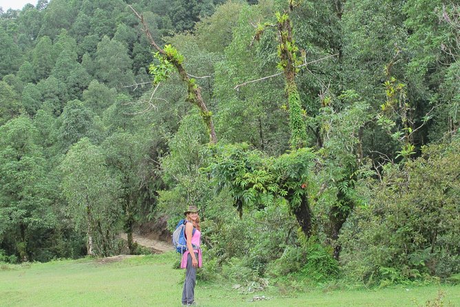 2-Day Private Trekking Tour to Australian Camp & Dhampus - What $99 buys you