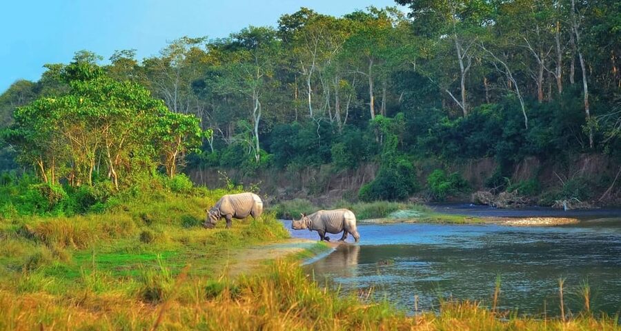 2 Days Chitwan Jungle Safari Tour from Pokhara/Kathmandu - Key points to know before booking