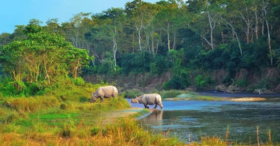 2 Days Chitwan Jungle Safari Tour from Pokhara/Kathmandu - Why a one-night Chitwan safari can work