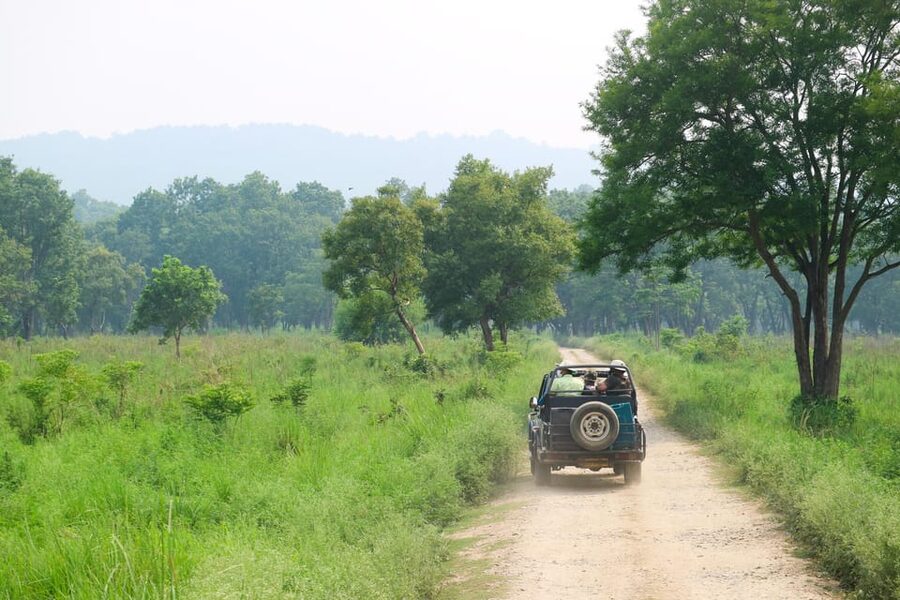 2 Days Chitwan Jungle Safari Tour from Pokhara/Kathmandu - Who should book this Chitwan trip