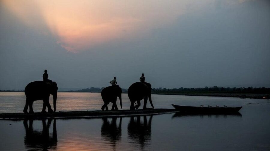 3-Day Chitwan Jungle Safari Adventure From Kathmandu/Pokhara - Practical advice for making the day easier