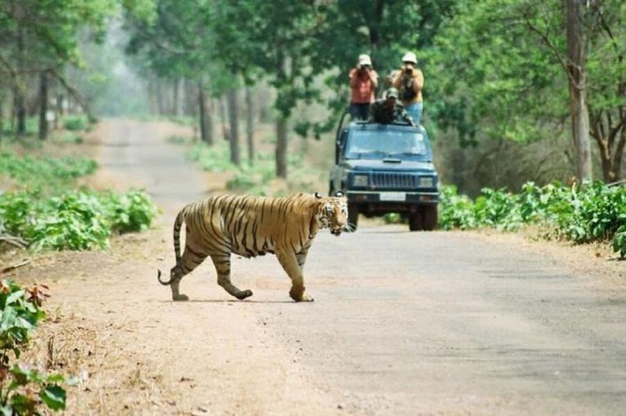 3-Day Chitwan Jungle Safari Adventure From Kathmandu/Pokhara - Why Chitwan feels so different from Kathmandu and Pokhara