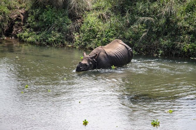 3-Day Chitwan Jungle Safari Tour from Kathmandu - Why Chitwan makes a good break from Kathmandu