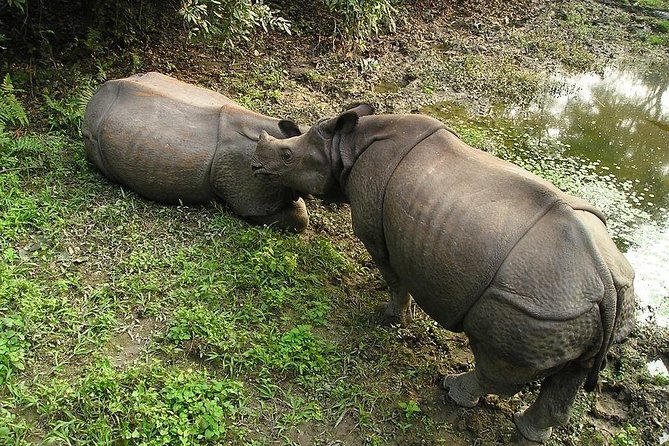 3-Day Chitwan Jungle Safari Tour from Kathmandu - A note on animal welfare