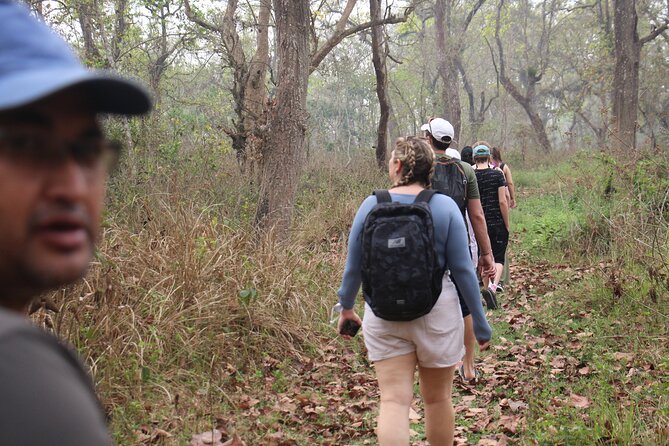 3-Day Chitwan National Park Jungle Safari Tour Package with Pick Up - A practical way to reach Chitwan from Kathmandu