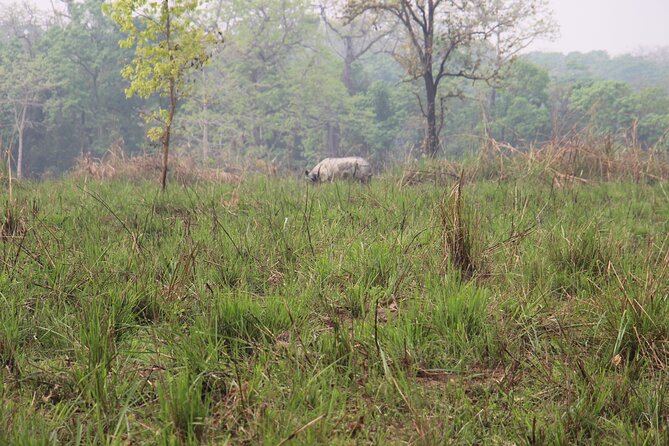 3-Day Chitwan National Park Jungle Safari Tour Package with Pick Up - Canoeing the Rapti River at 7:00 a.m.