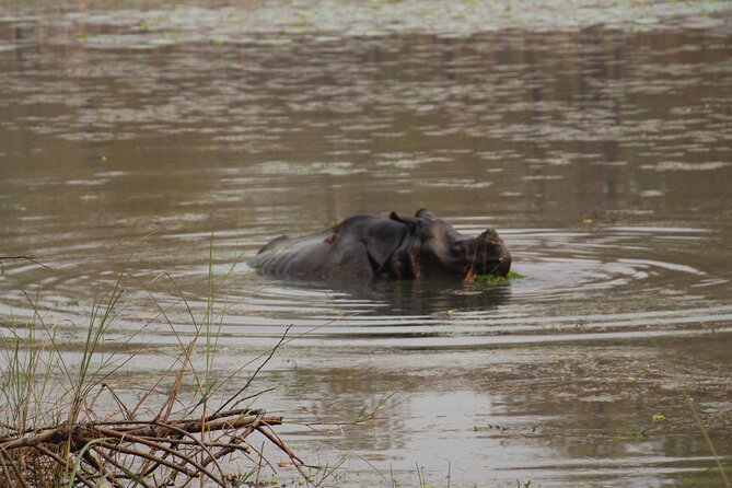 3-Day Chitwan National Park Jungle Safari Tour Package with Pick Up - What the $180 price really covers