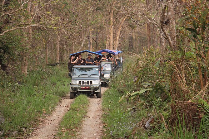 3-Day Chitwan National Park Jungle Safari Tour Package with Pick Up - Day three brings a short birdwatching farewell