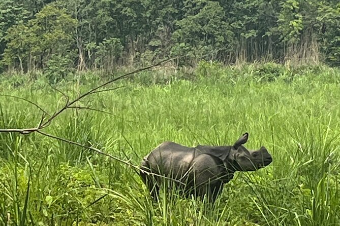 3-Day Guided Safari Tour in Chitwan National Park in Nepal - Why Chitwan makes a good break from Kathmandu