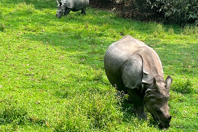 3-Day Guided Safari Tour in Chitwan National Park in Nepal - The five-hour journey from Kathmandu