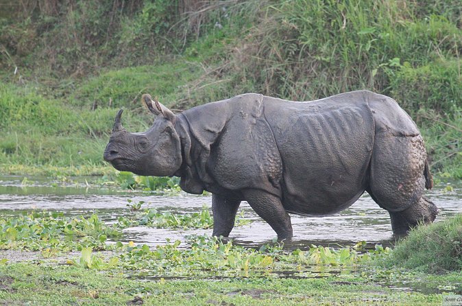 3 Days Jungle Safari in Chitwan National Park - Sunset beside the Rapti River