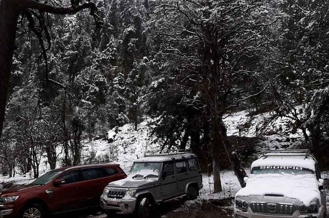 3 Days Kalinchowk Trekking from Kathmandu - A private guide makes the short route easier