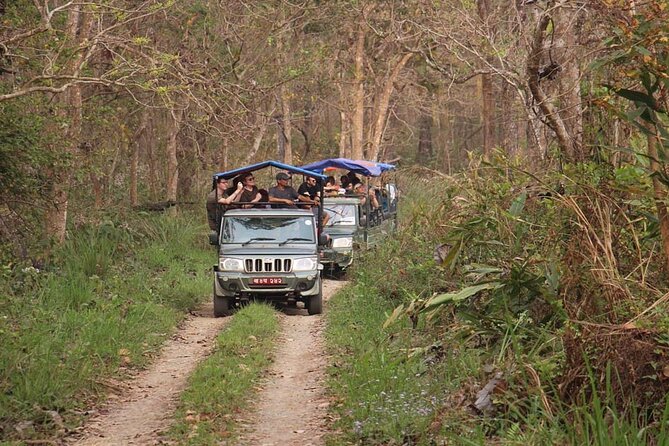 3 Nights 4 Days Chitwan National Park with Tower Night Stay - The Tharu culture stop adds needed balance