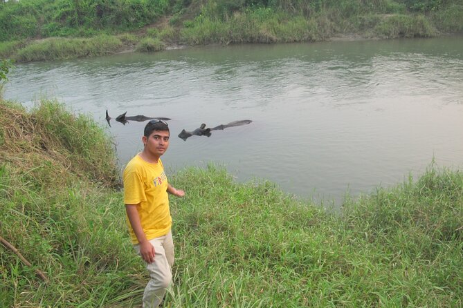 3 Nights 4 Days Chitwan National Park with Tower Night Stay - What the accommodation is really like