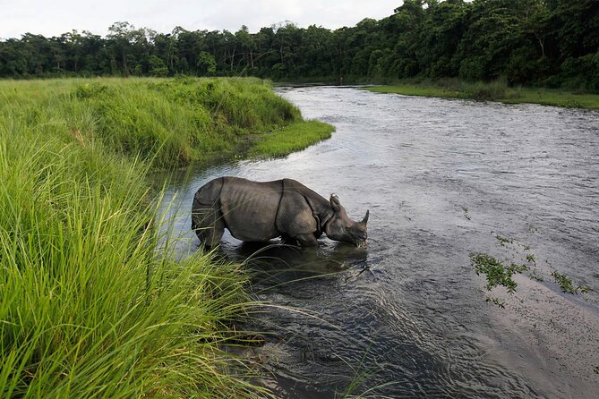 3 Nights 4 Days Chitwan National Park with Tower Night Stay - Is $350 a fair price?