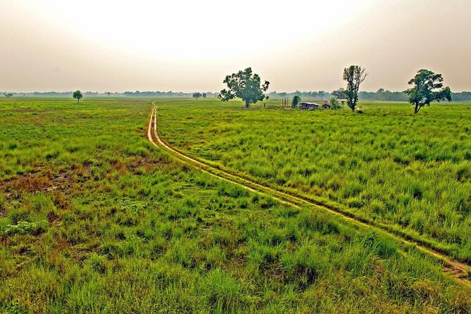 3 Nights 4 Days Chitwan National Park with Tower Night Stay - Day one: the long road from Kathmandu or Pokhara