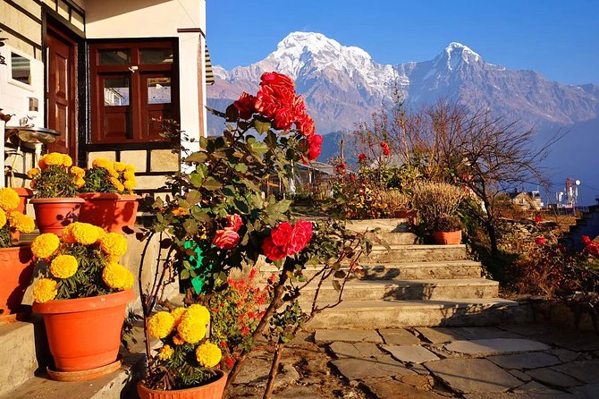 4-Day Private Poon Hill Trekking Tour - Day four: One last Himalayan morning and return to Pokhara
