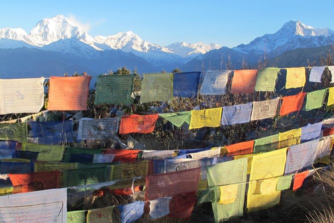 4-Day Private Poon Hill Trekking Tour - Day one: Pokhara to Ulleri and the first real climb