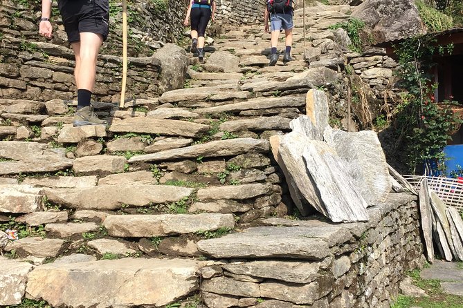 4 Days Poon Hill Trek from Pokhara - Day 1: Nayapul to Ulleri and the first hard climb