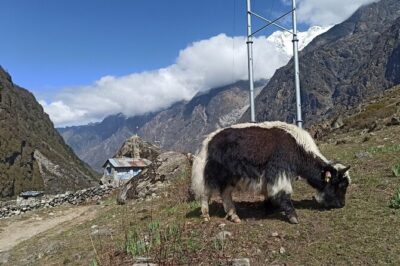 7 Days Langtang Valley Trek from Kathmandu