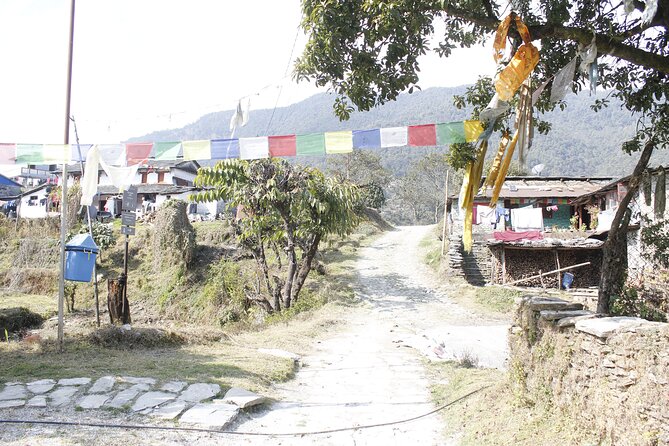 7 Days Langtang Valley Trek from Kathmandu - Day seven: back to Kathmandu