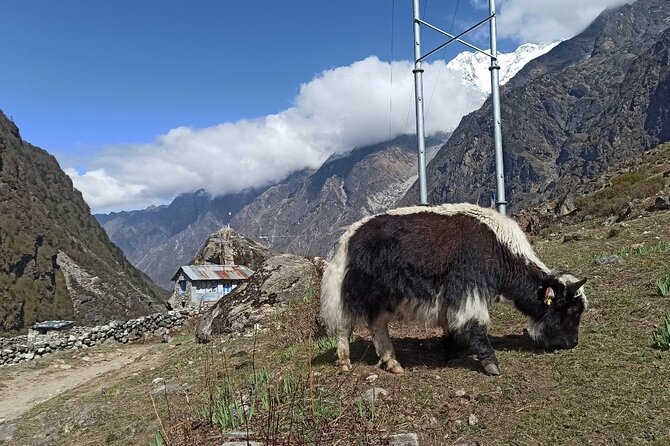7 Days Langtang Valley Trek from Kathmandu - Day two: river, suspension bridges, and Lama Hotel