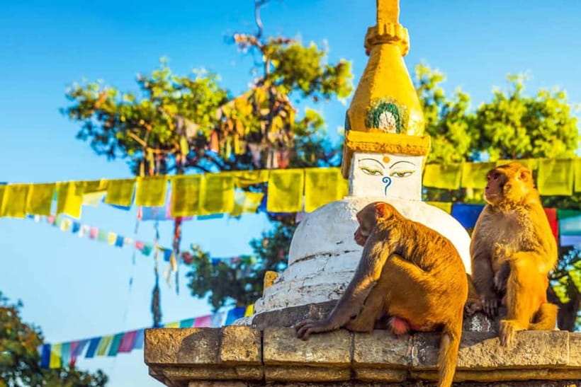 7-Heritage of Kathmandu: At your comfort 1-Day Tour - The Guide, Vehicle, and Pace
