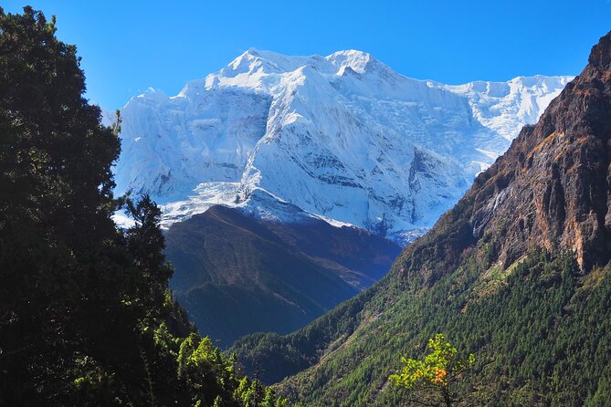 8 Days Private Guided Trekking in Annapurna Circuit with Pickup - Day 6: The approach to Thorong High Camp