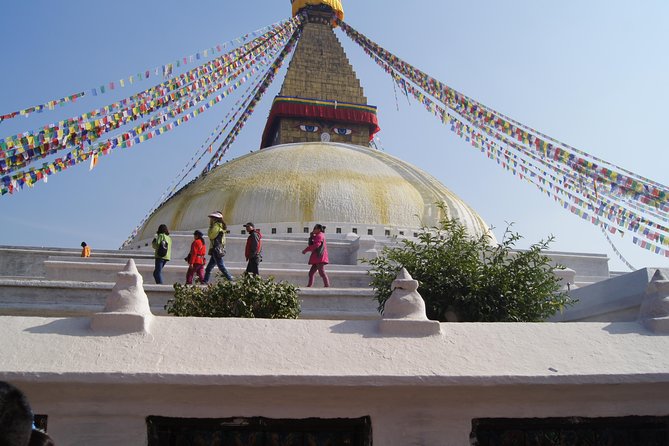 8 Days Special Nepal Tour Package - Chitwan’s six-hour wildlife day
