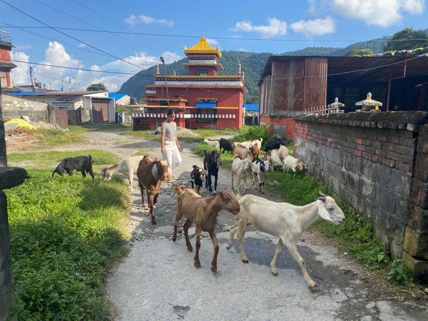 Afternoon Tibetan cultural tour - Key points at a glance