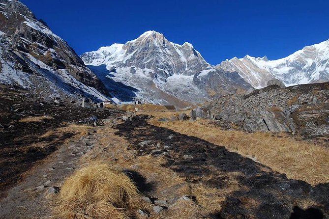 Annapurna Base Camp, Nepal 10 days - Day 5: Bamboo to Deurali at 3,230 meters